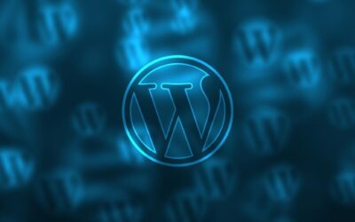 Profesional Wordpress